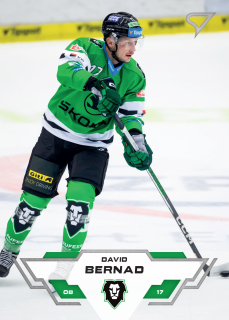 23-24 TELH - David BERNAD č. 165