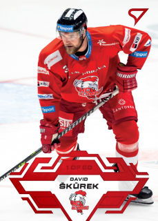 23-24 TELH - David ŠKŮREK č. 134 GOAL LIGHT 1of60