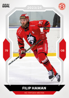 23-24 GOAL Cards - Filip HAMAN č. 115