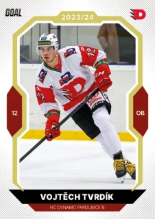 23-24 GOAL Cards - Vojtěch TVRDÍK č. 374 GOLD 1of20