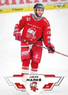 23-24 TELH - Lukáš MAREŠ č. 311
