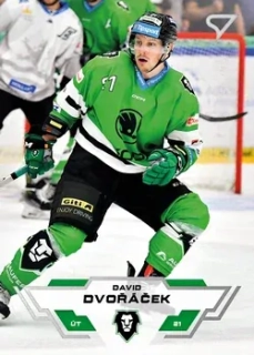 23-24 TELH - David DVOŘÁČEK č. 333