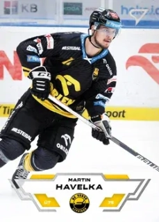 23-24 TELH - Martin HAVELKA č. 343