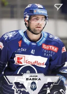 23-24 TELH - Jakub BABKA č. 355