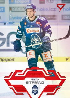 23-24 TELH - Jakub STRNAD č. 359 GOAL LIGHT 1of60