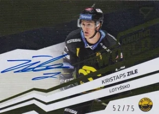 23-24 TELH - Kristaps ZILE č. AWS-KZ AUTO 52/75