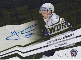 23-24 TELH - Adrián HOLEŠINSKÝ č. AWS-AH AUTO 55/75