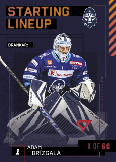 23-24 TELH - Adam BRÍZGALA č. SL-79 2nd PERIOD 1of60