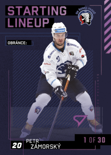 23-24 TELH - Petr ZÁMORSKÝ č. SL-69 3rd PERIOD 1of30