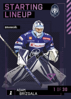 23-24 TELH - Adam BRÍZGALA č. SL-79 3rd PERIOD 1of30