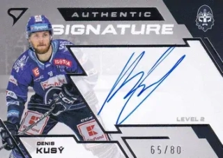 23-24 TELH - Denis KUSÝ č. SL2-KS 65/80