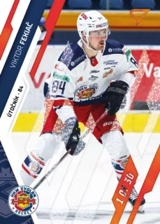 23-24 Tipos Extraliga - Viktor FEKIAČ č. 225 GOAL LIGHT 1of30