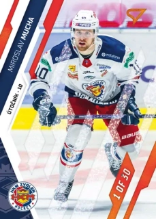 23-24 Tipos Extraliga - Miroslav MUCHA č. 228 GOAL LIGHT 1of30