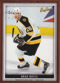 06-07 Bee Hive - Brad BOYES č. 93