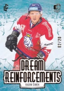 Expectations Road to Prague - Radim ŠIMEK č. DR-21 GOLD x/20