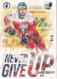 Expectations Road to Prague - Tomáš CIBULKA č. NGU-05 ICE FLOES x/5
