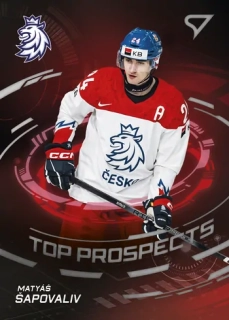 2024 Hokejové Česko - Matyáš ŠAPOVALIV č. TP-9