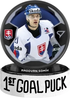 2024 Hokejové Slovensko - Radovan SOMÍK č. GP-17