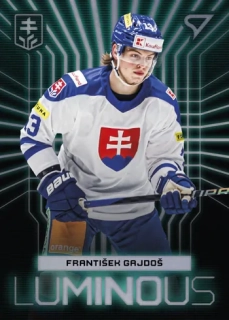 2024 Hokejové Slovensko - František GAJDOŠ č. LS-05