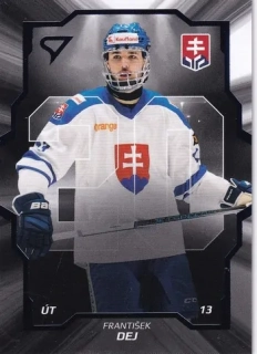 2024 Hokejové Slovensko - František DEJ č. SD-08