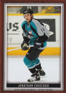 06-07 Bee Hive - Jonathan CHEECHOO č. 17