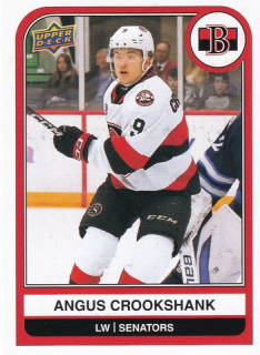 23-24 UD AHL - Angus CROOKSHANK č. 47