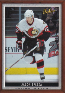 06-07 Bee Hive - Jason SPEZZA č. 31