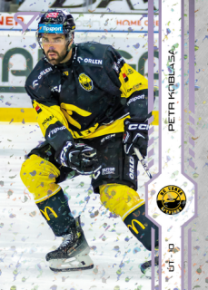 24-25 TELH - Petr KOBLASA č. 069 Puck Marks