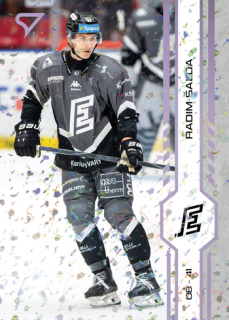24-25 TELH - Radim ŠALDA č. 189 Puck Marks