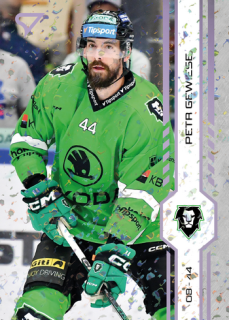 24-25 TELH - Petr GEWIESE č. 219 Puck Marks