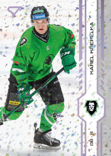 24-25 TELH - Karel KŘEPELKA č. 222 Puck Marks