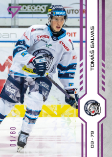 24-25 TELH - Tomáš GALVAS č. 113 Purple Iceberg x/60