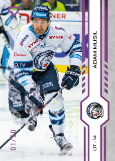 24-25 TELH - Adam MUSIL č. 122 Purple Iceberg x/60
