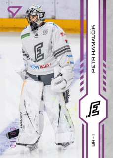 24-25 TELH - Petr HAMALČÍK č. 182 Purple Iceberg x/60
