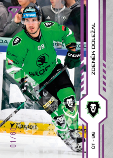 24-25 TELH - Zdeněk DOLEŽAL č. 228 Purple Iceberg x/60