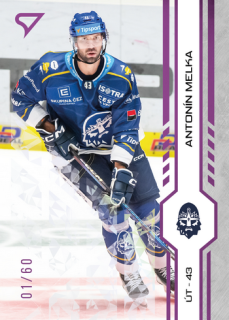 24-25 TELH - Antonín MELKA č. 247 Purple Iceberg x/60