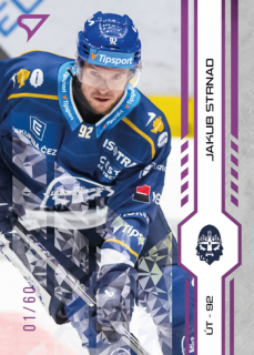 24-25 TELH - Jakub STRNAD č. 251 Purple Iceberg x/60