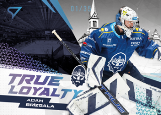 24-25 TELH - Adam BRÍZGALA č. TL-25 True Loyalty Limited x/35