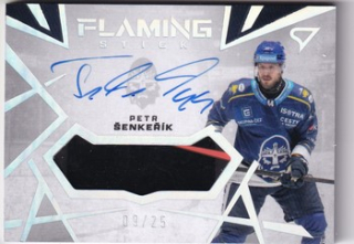 24-25 TELH - Petr ŠENKEŘÍK č. FS-SE Flaming Stick 09/25