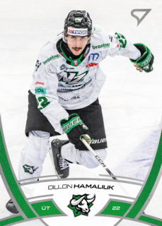 24-25 TIPOS - Dillon HAMALIUK č. 192
