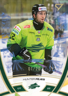 24-25 TIPOS - Hunter FEJES č. 207 Golden Glow x/20