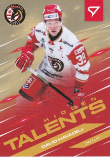 24-25 TIPOS SHL - Dávid HAVADEJ č. HT-1 Hidden Talents