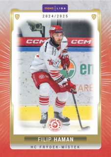 24-25 GOAL Cards - Filip HAMAN č. FMI-03 CANVAS x/15