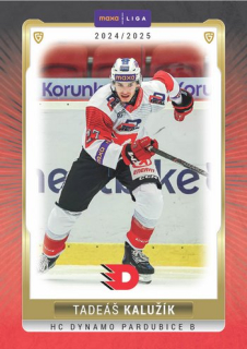 24-25 GOAL Cards - Tadeáš KALUŽÍK č. PCE-16 Canvas x/15