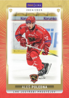 24-25 GOAL Cards - Aleš POLEDNA č. PRO-09
