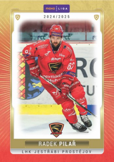 24-25 GOAL Cards - Radek PILAŘ č. PRO-18 Canvas 1of40