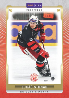 24-25 GOAL Cards - Lukáš STRNAD č. SLA-12 Canvas 1of40
