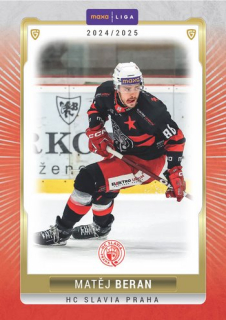 24-25 GOAL Cards - Matěj BERAN č. SLA-14 Canvas 1of40