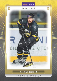 24-25 GOAL Cards - Adam RULÍK č. SOK-08 Canvas 1of40