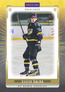 24-25 GOAL Cards - Radim ŠALDA č. SOK-10